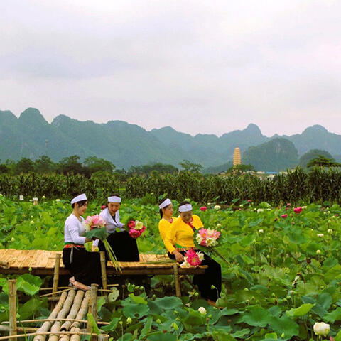 <a href="/gioi-tre" title="Giới trẻ" rel="dofollow">Giới trẻ</a>