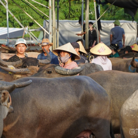 <a href="/kinh-te-247" title="Kinh tế 247" rel="dofollow">Kinh tế 247</a>