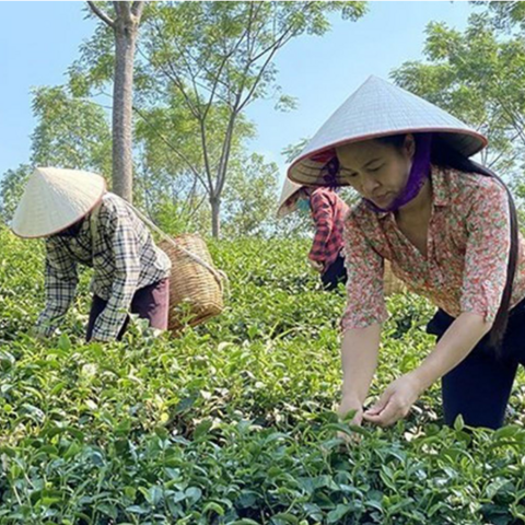 <a href="/khoi-nghiep" title="Khởi nghiệp" rel="dofollow">Khởi nghiệp</a>