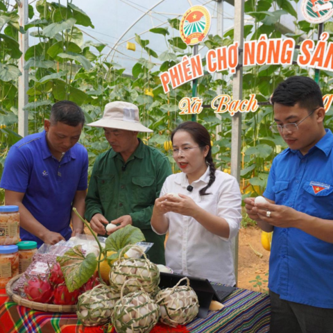 <a href="/khoi-nghiep" title="Khởi nghiệp" rel="dofollow">Khởi nghiệp</a>