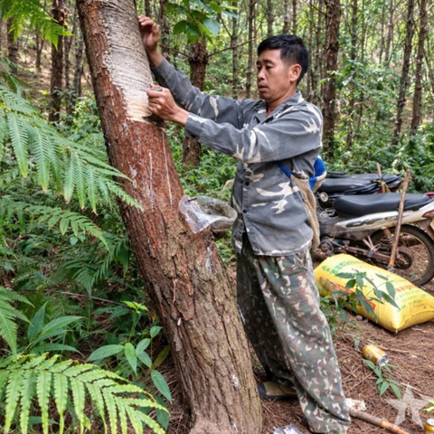 <a href="/khoi-nghiep" title="Khởi nghiệp" rel="dofollow">Khởi nghiệp</a>
