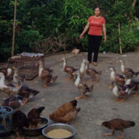 <a href="/khoi-nghiep" title="Khởi nghiệp" rel="dofollow">Khởi nghiệp</a>