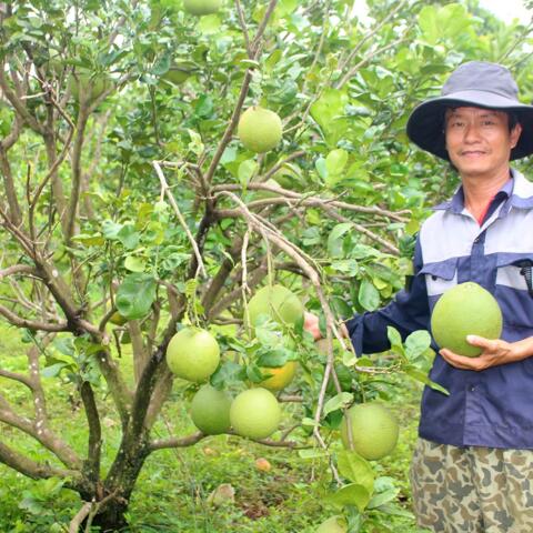 <a href="/khoi-nghiep" title="Khởi nghiệp" rel="dofollow">Khởi nghiệp</a>