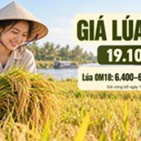 <a href="/kinh-te-247" title="Kinh tế 247" rel="dofollow">Kinh tế 247</a>
