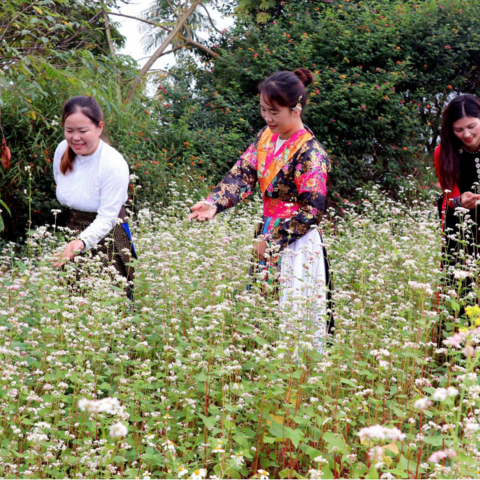 <a href="/kham-pha" title="Khám phá" rel="dofollow">Khám phá</a>