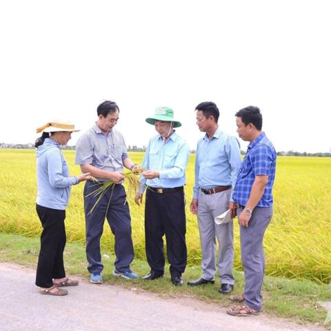 <a href="/khoi-nghiep" title="Khởi nghiệp" rel="dofollow">Khởi nghiệp</a>