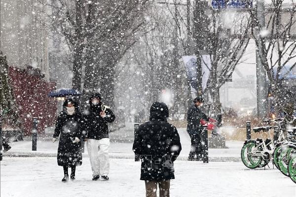 Hàn Quốc: Ban bố cảnh báo thảm họa do tuyết rơi dày đặc