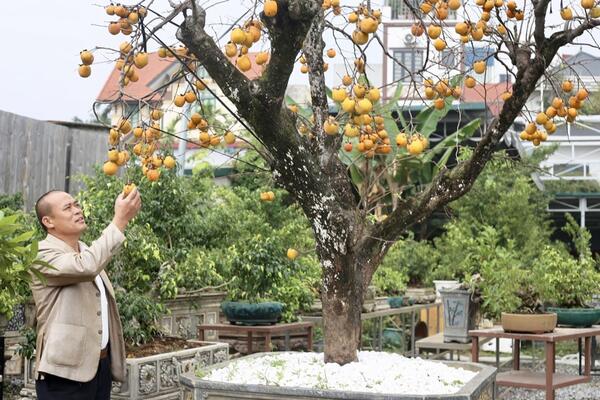 Làm giàu, làm đẹp từ hoa - cây cảnh ở Vĩnh Thanh