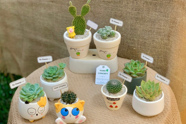 Không hoa hồng, không socola: Valentine năm nay, người ta tặng nhau điều gì?