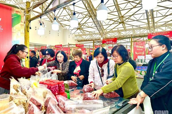 Kích cầu tiêu dùng, khẳng định vị thế hàng Việt