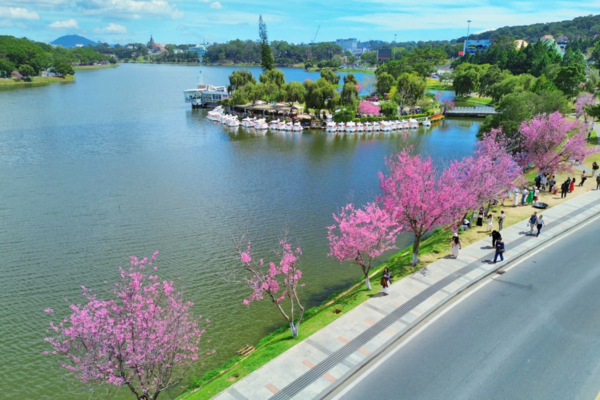 Sân bay Liên Khương tạm đóng cửa 6 tháng: Du khách đến Đà Lạt bằng đường nào?