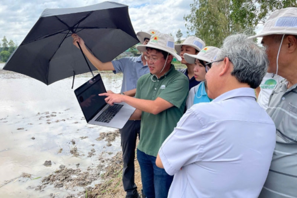 Công nghệ robot giúp nâng cao chất lượng lúa tại Đồng bằng sông Cửu Long