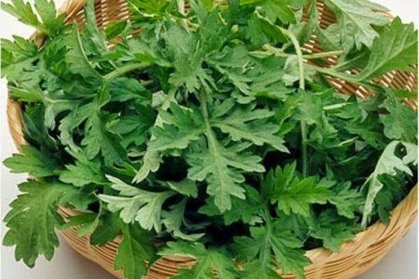 Đi qua mùa ngải đắng