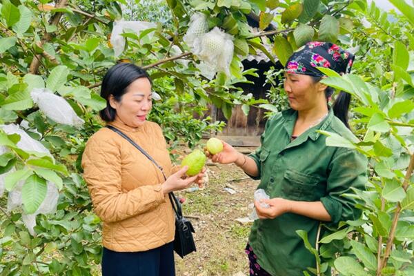 Đẩy mạnh phát triển kinh tế, nâng cao đời sống nhân dân