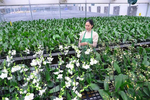 Luật Thủ đô năm 2026: Thí điểm cơ chế, chính sách mới
