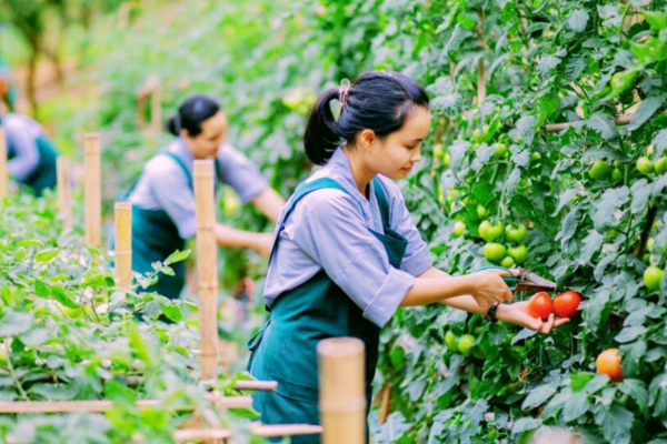 Cơ hội rộng mở cho người lao động đi làm việc từ các thị trường quốc tế