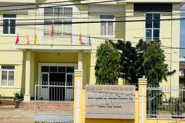 Hợp nhất 29 ban quản lý rừng phòng hộ ở Gia Lai