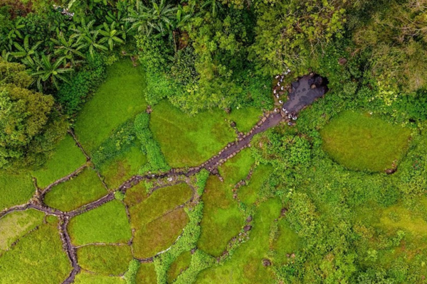 UNESCO đồng hành với tỉnh Quảng Trị xây dựng hồ sơ ghi danh các di sản