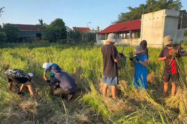 Lớp học đặc biệt ngoài đồng ruộng dành cho 'khối nghỉ hè'