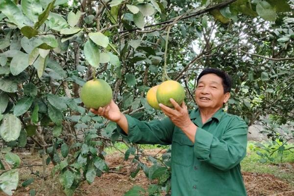 Chi hội trưởng nông dân “hai giỏi”