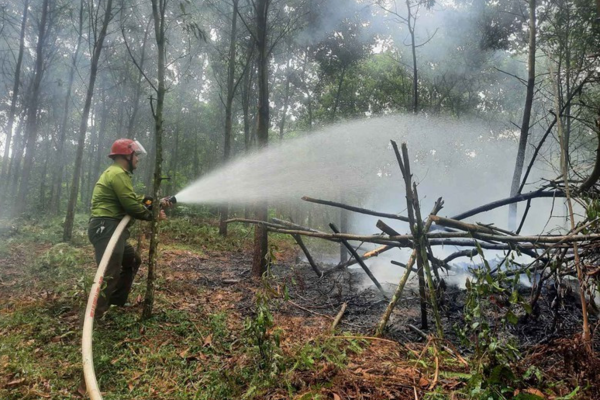 Tuyệt đối không lơ là, chủ quan, mất cảnh giác trong phòng cháy, chữa cháy rừng