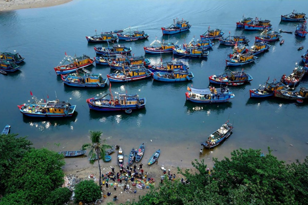 Đến Quảng Ngãi, ghé chợ nổi lúc tinh mơ