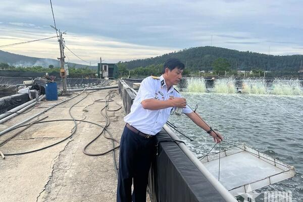 Cựu chiến binh tiên phong nuôi tôm làm giàu