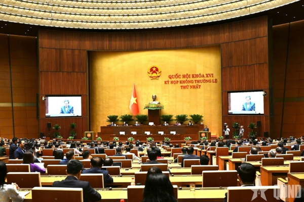 Thể chế kiến tạo