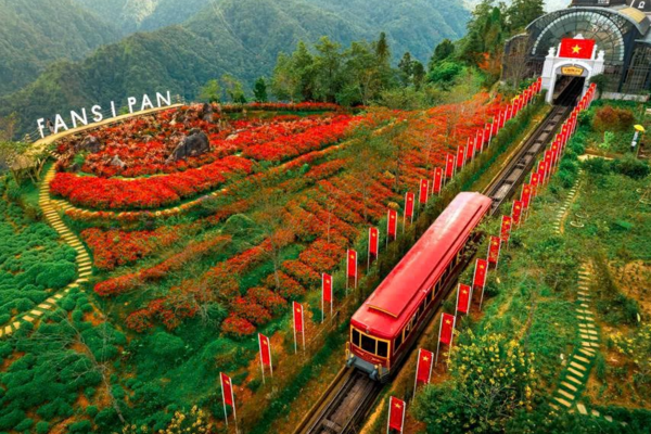 Lên Fansipan mùa thu: Săn mây, ngắm mùa vàng và thảm hoa rực rỡ ​