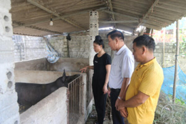 Mở hướng sinh kế cho lao động dân tộc thiểu số ở Thanh An