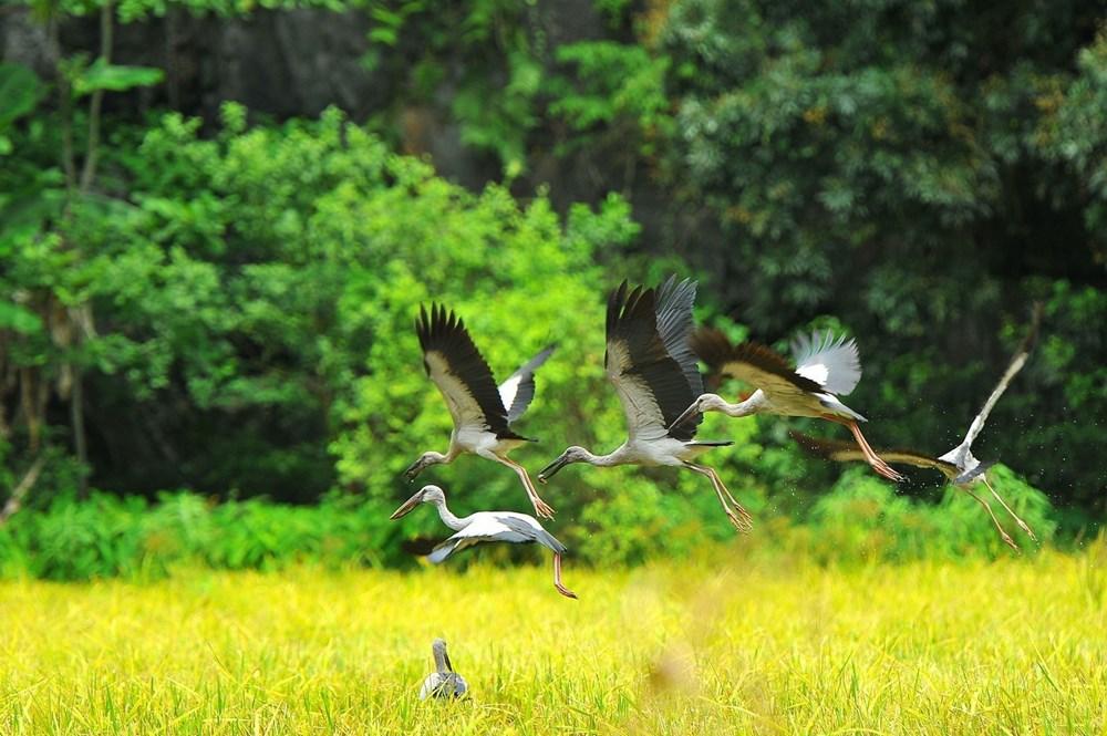 [Photo] Kham pha Ninh Binh - vung dat hap dan khach du lich hinh anh 7