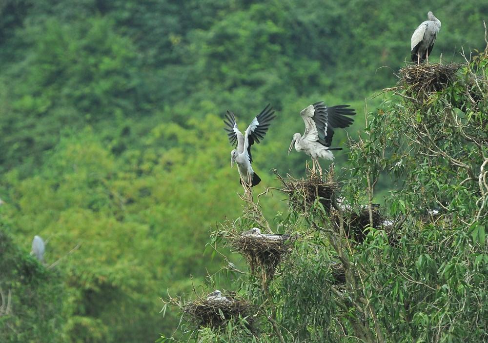 [Photo] Kham pha Ninh Binh - vung dat hap dan khach du lich hinh anh 32