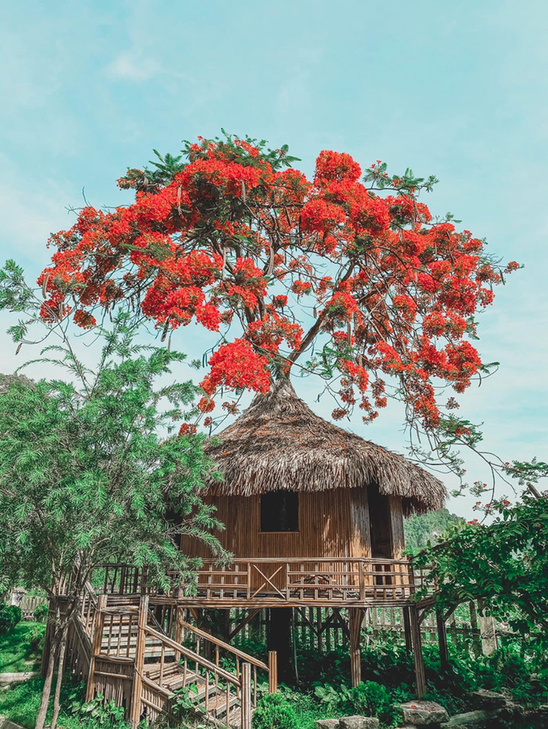 Khám phá Hang Múa, nơi mệnh danh tiên cảnh Ninh Bình - 2