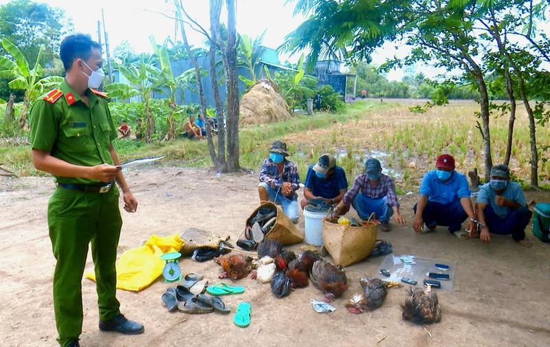 Công an huyện Vĩnh Lợi, Bạc Liêu triệt xóa điểm đá gà ăn tiền ảnh 1