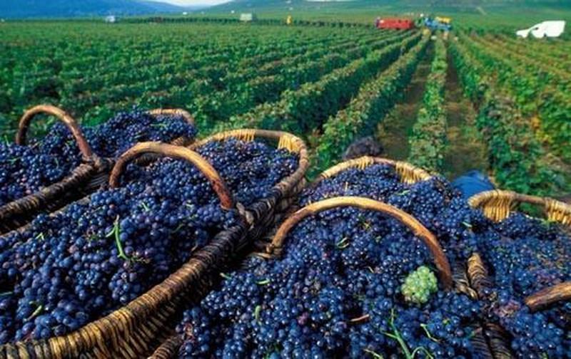 Làng cổ đẹp như tranh bên bờ sông Lauch nước Pháp ảnh 5