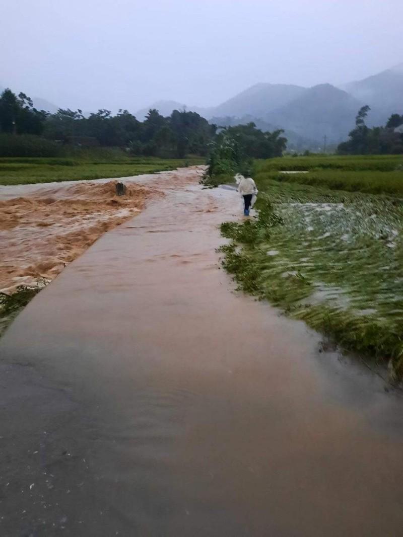 Mưa lớn gây ngập úng, sạt lở tại Lào Cai ảnh 7