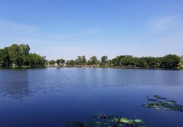 Bất động sản nông trại sinh thái hữu cơ: Thu hút nhà đầu tư - Ảnh 1. Bất động sản nông trại sinh thái hữu cơ: Thu hút nhà đầu tư - Ảnh 1.