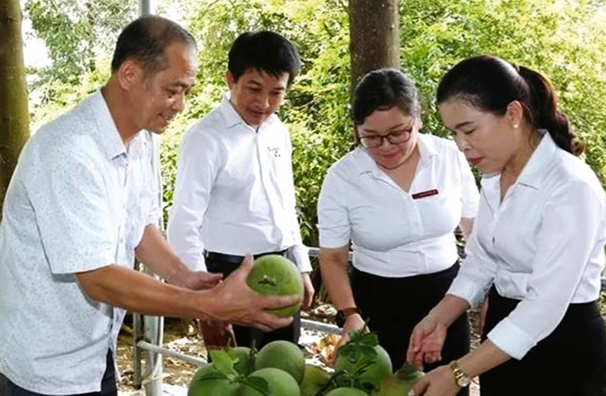 Đồng hành cùng nhà nông khởi nghiệp