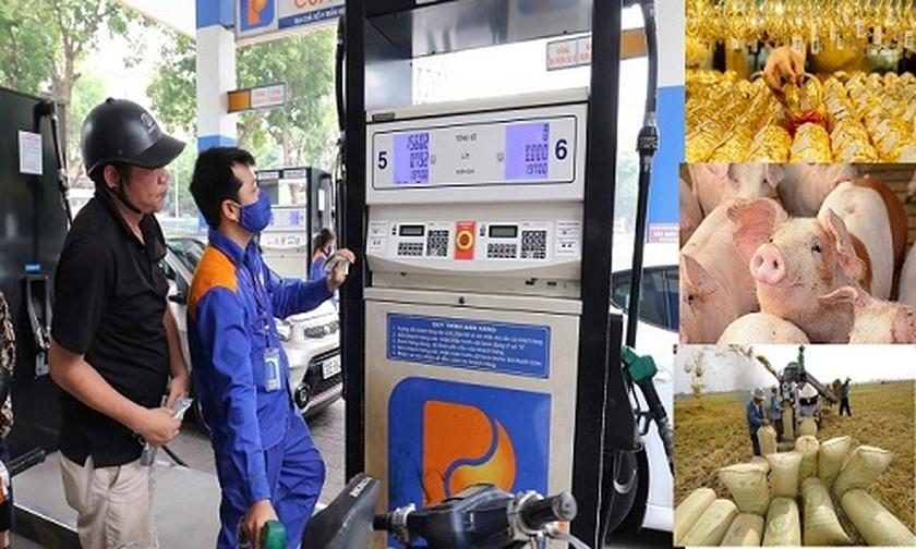 Giá các mặt hàng thiết yếu hôm nay - 27/10: Giá lúa gạo tăng trở lại