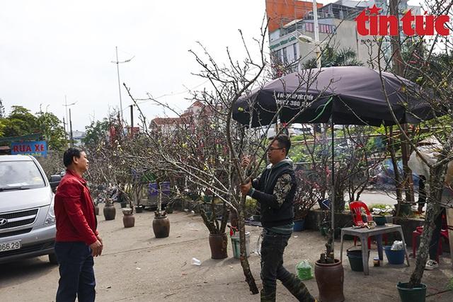 Hoa lê, hoa mận rừng xuống phố phục vụ người dân Thủ đô đón Tết sớm - Ảnh 4.