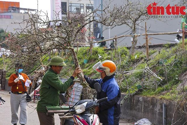 Hoa lê, hoa mận rừng xuống phố phục vụ người dân Thủ đô đón Tết sớm - Ảnh 9.