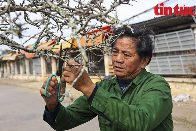 Hoa lê, hoa mận rừng xuống phố phục vụ người dân Thủ đô đón Tết sớm - Ảnh 7.