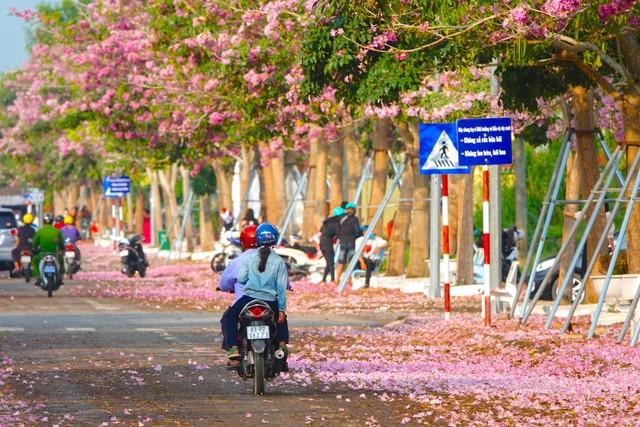 Vượt hơn 70 km đến check in cung đường nhuộm hồng đẹp như phim Hàn ở miền Tây - Ảnh 2.