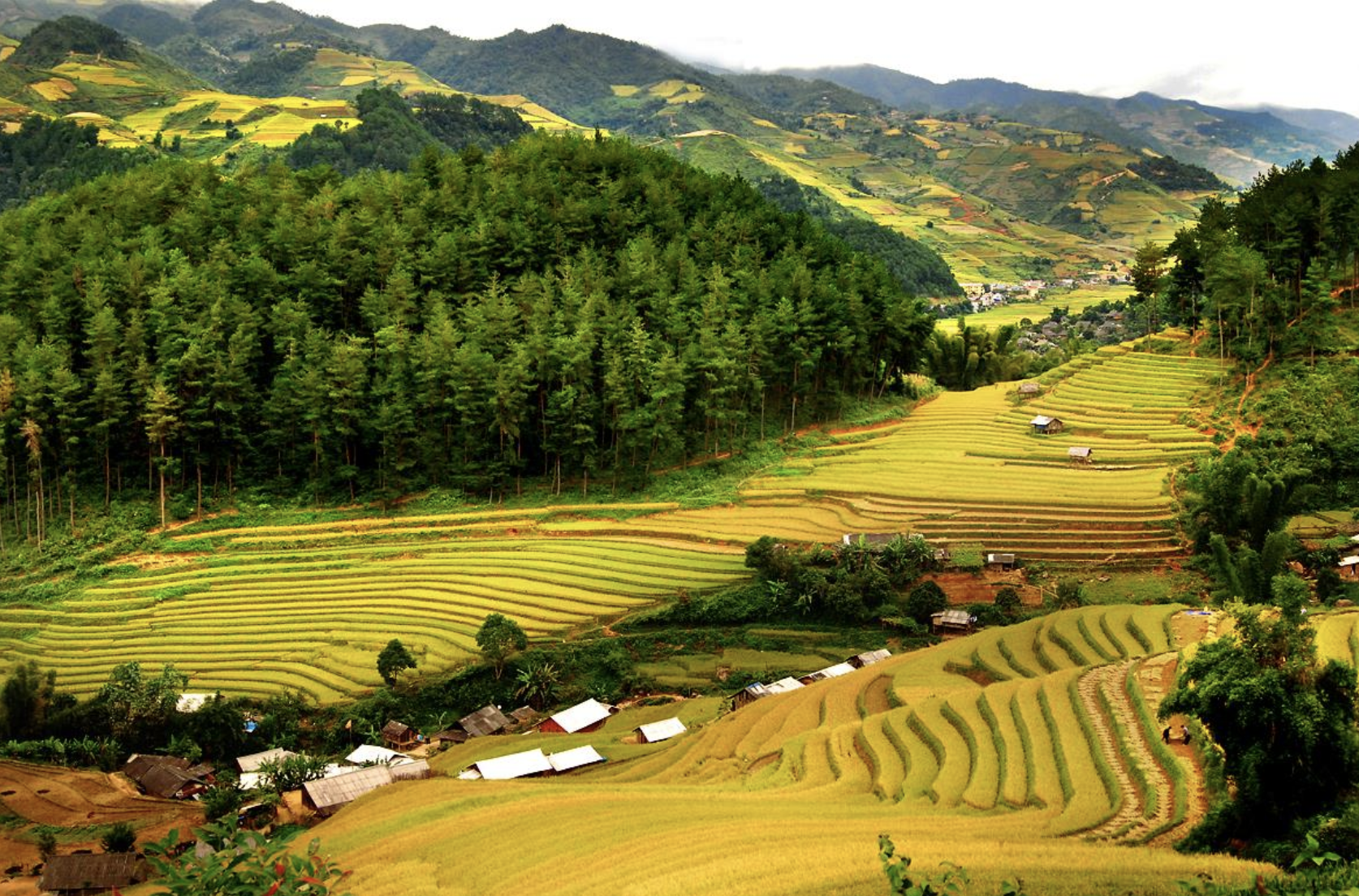 Bắt trọn "thời điểm vàng" tận hưởng và trải nghiệm 1 Pù Luông đẹp nhất trong năm với chi phí - Ảnh 1.