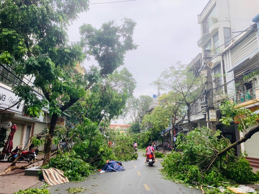 Hình ảnh thành phố Hải Phòng tan hoang sau bão.