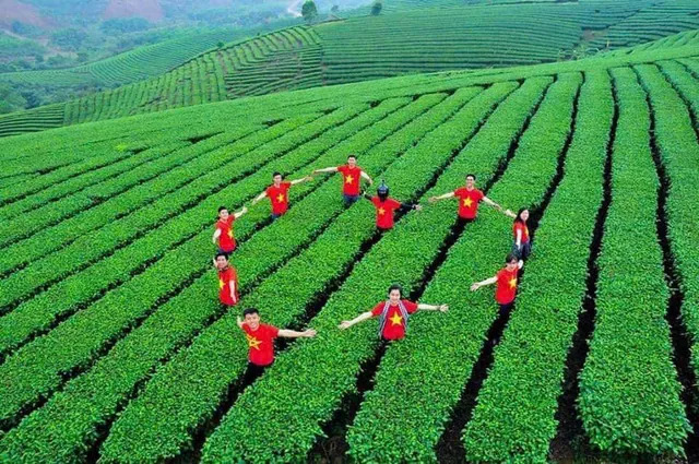 le hoi tra duong hoa da san sang chao don du khach hinh 1