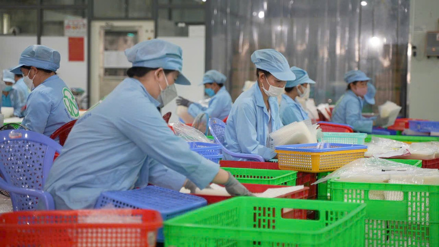 Công nhân trong nhà máy bánh tráng của Công ty TNHH Tân Nhiên đóng gói sản phẩm. Ảnh: Quốc Hải nhieu-du-dia-de-khoi-nghiep-nong-nghiep-1.jpg