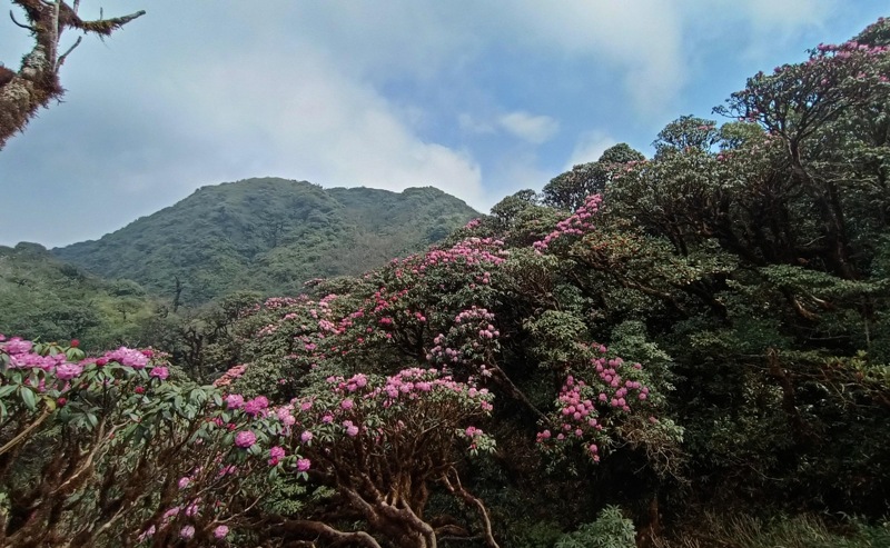chuoi hoat dong dac sac tai le hoi putaleng huyen tam duong lan thu ii hinh 1