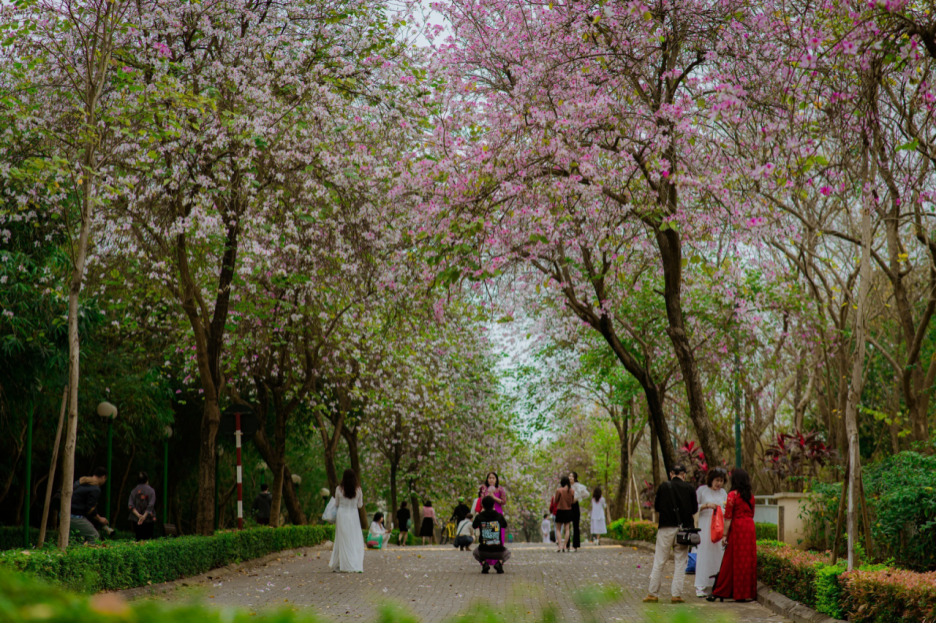 gioi nhiep anh gia lam soi dong dich vu chup anh 12 mua hoa cho cac chi em hinh 1