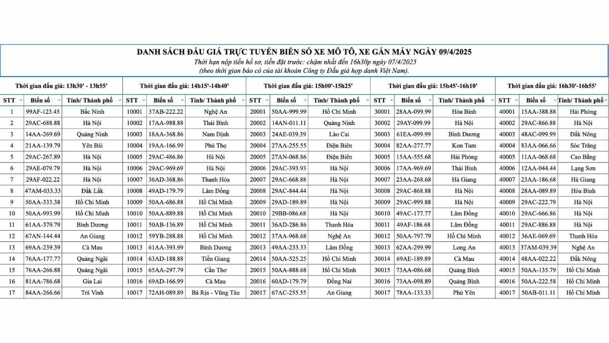 Danh sách biển số xe đấu giá được công bố trên trang thông tin đấu giá trực tuyến của VPA. Ảnh: VPA